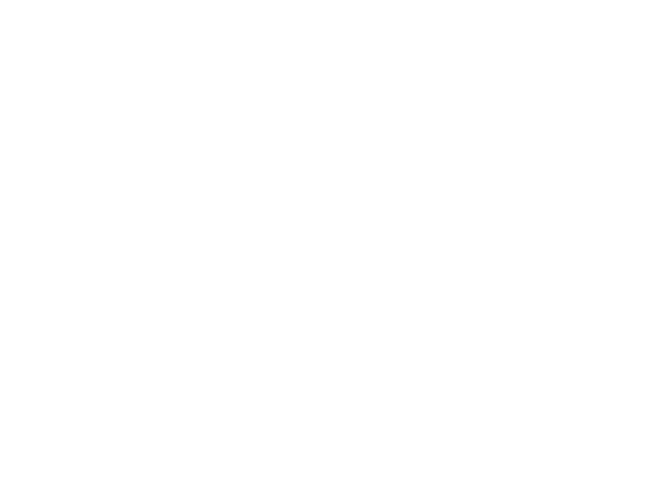 Wandtattoo Che Guevara