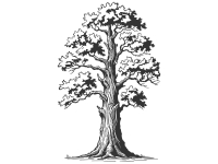 Wandtattoo Üppiger Baum Motivansicht